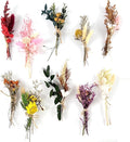 10Pcs Mini Dried Flowers Bouquet, Boho Mixed Natural Dried Flowers, Mini Wedding Handmade Dry Flowers Decor for Wedding Photo Frame Gift Box Home Vase Decorations DIY (White Series)
