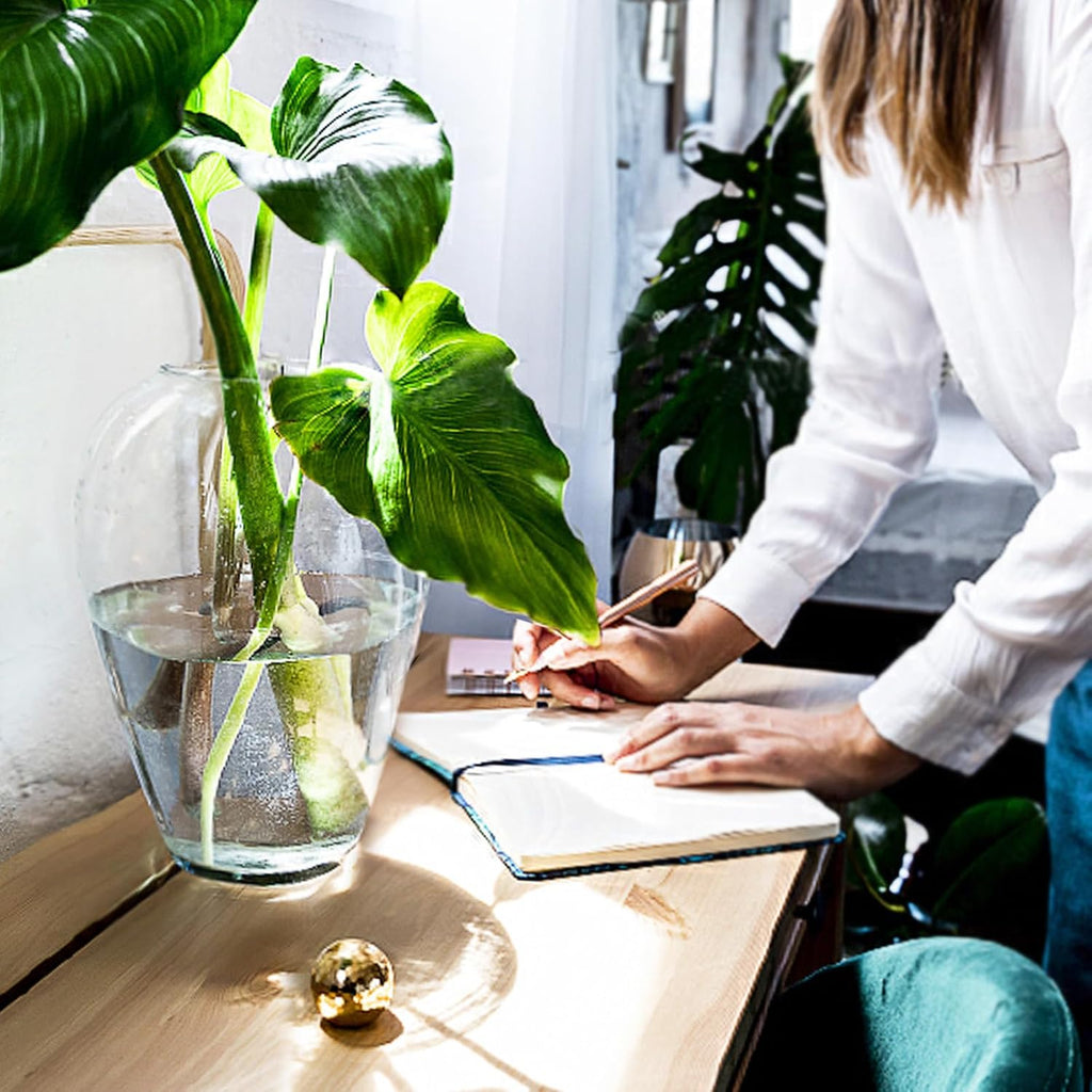 10 Inch Large Glass Vase for Centerpieces,Modern Clear Tall Vase Decorative for Flower,Home Decor,Wedding,Living Room,Dining Table, Office,Entryway, Shelf, Birthday, Housewarming Gift